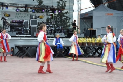 fotod195