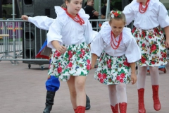 fotod204
