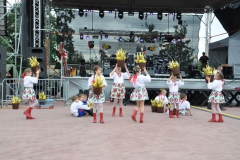 fotod217