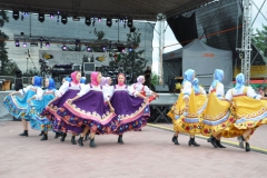 fotod220