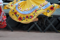 fotod223