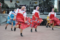 fotod224