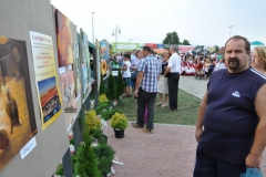fotod248