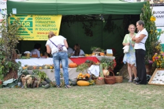 fotod259