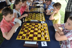 VIII Królewski Jarmark-Pysznica 2015 - 28.06.2015r.